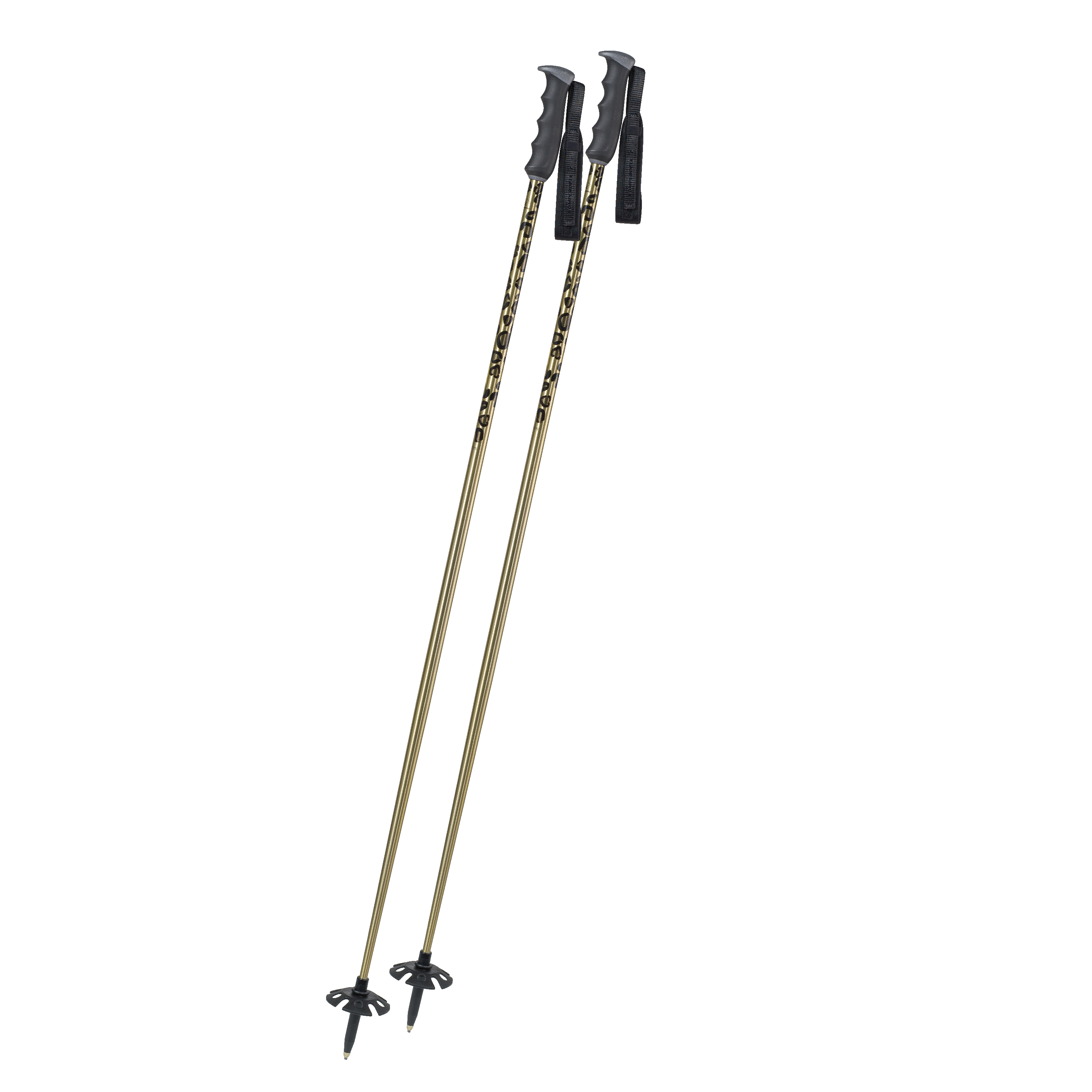 Big Cat gold/blk